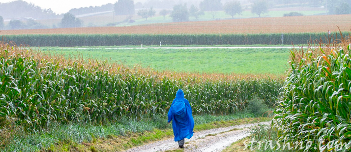 мужчина идет по дороге во время дождя
