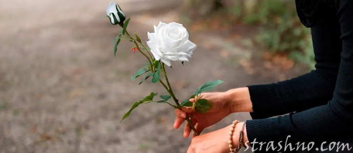 скорбящая женщина с белой розой