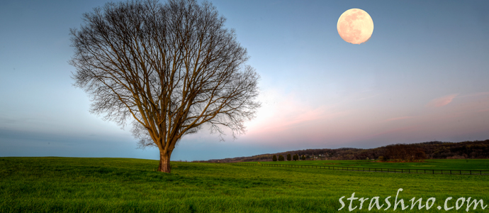 лунная ночь