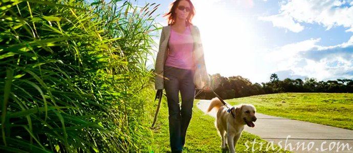 девушка прогуливает собаку