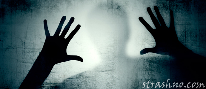 приснилась тень