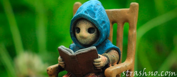 домовенок с книгой