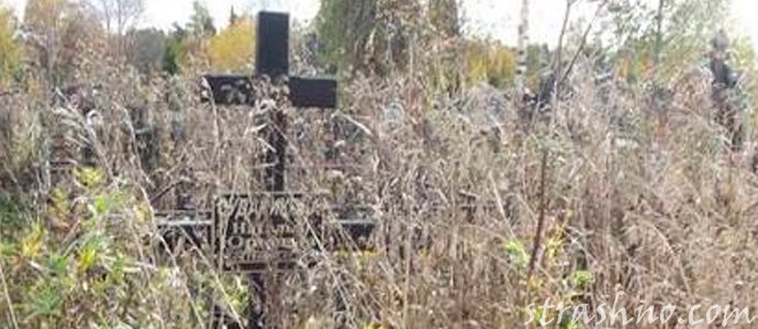 заросшая могила