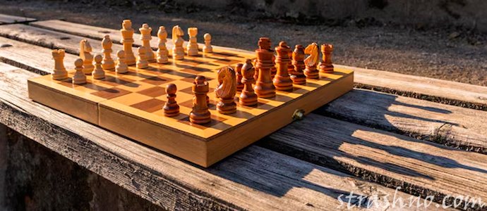 шахматная доска на лавочке в парке